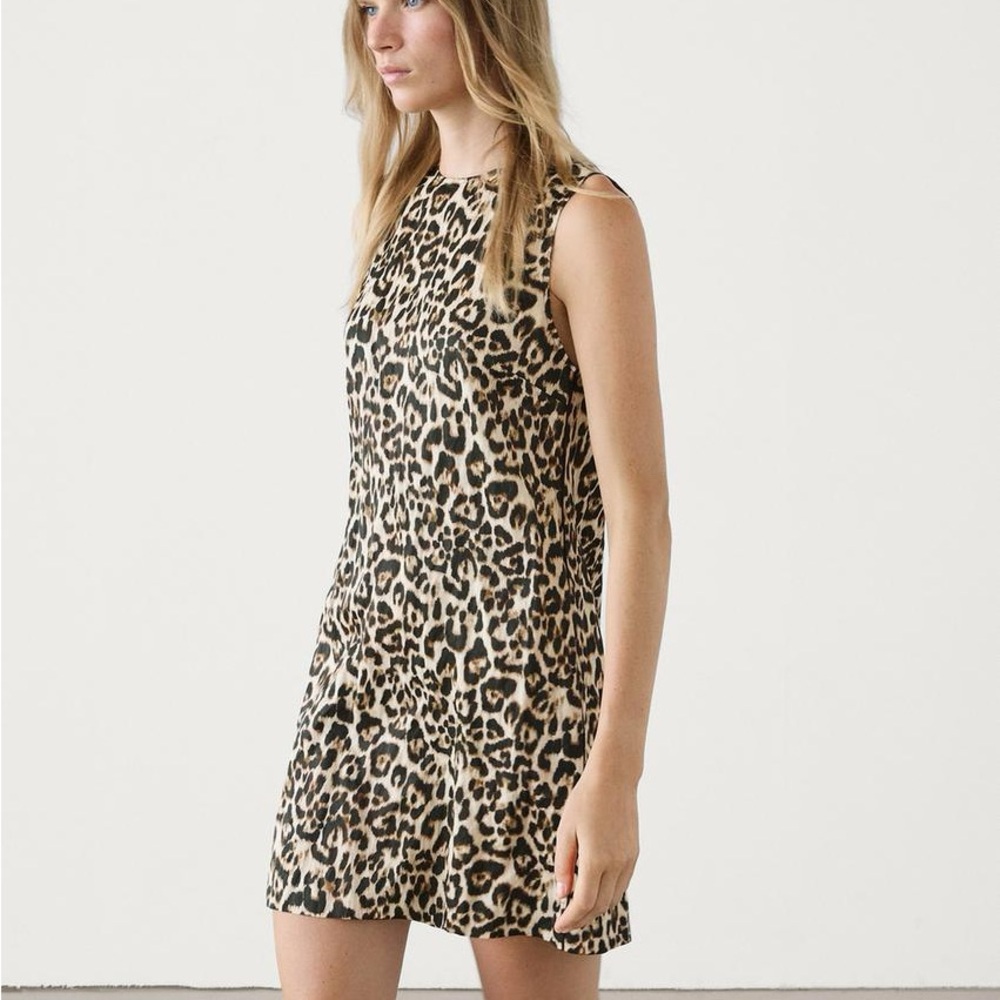 COPY - Zara Animal Print Sleeveless Dress